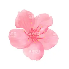 樱花素材  - 源文件下载【酷图网】樱花素材,粉色花朵,花朵素材,中式,中国风素材,樱花背景,樱花分层素材,樱花手绘素材,樱花插画素材,樱花插画,手绘樱花,