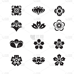 需墨XUMO采集到花朵图案