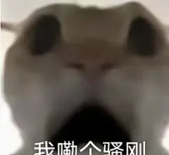 鼠鼠表情包 - 小红书