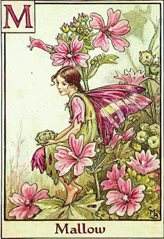 com采集星星无所不知采集到童话2花仙子插画师 cicely mary barker