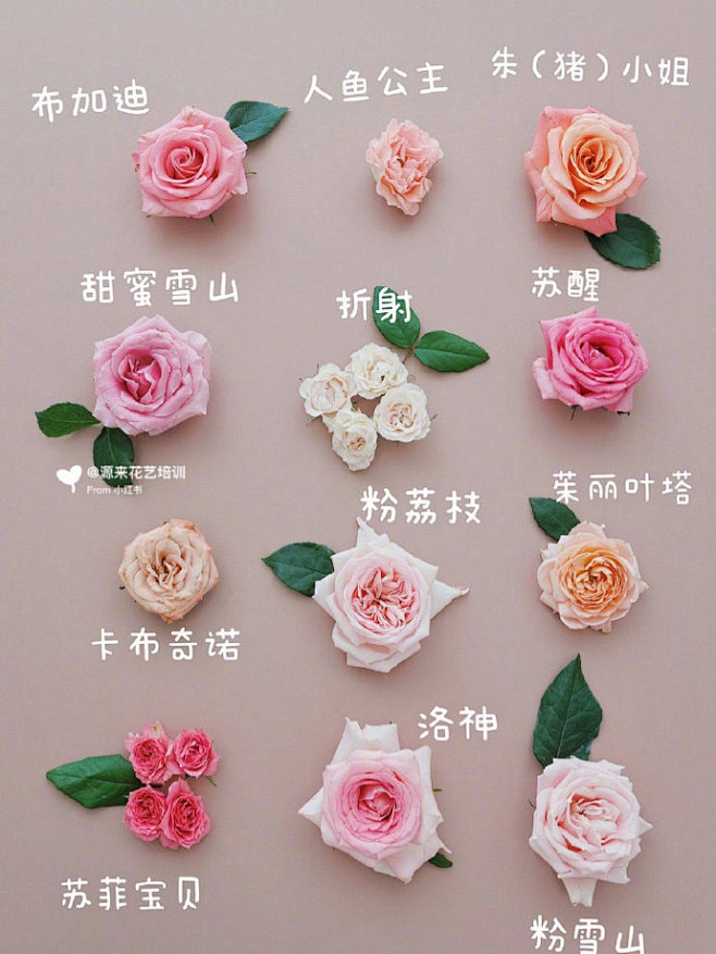微博 – 随时随地发现新鲜事