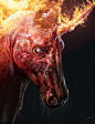 Nightmare Unicorn