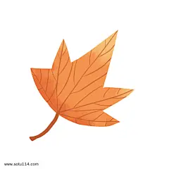 秋分秋季植物枫叶插画图片png免抠元素卡通手绘背景装饰免扣图片