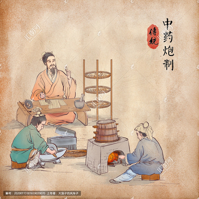 中药炮制手绘插画
