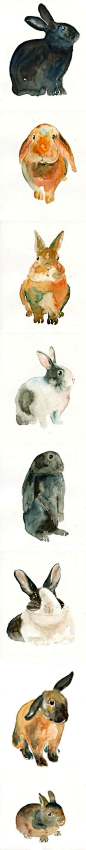 #森女插画# 系列兔子插画，超萌的小兔子。