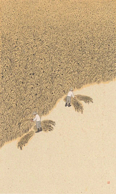 香光庄严采集到稻田