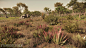 Star Citizen - Vegetation - Planet Hurston, Özlem Sagbili : I was mainly responsible for creating vegetation and procedural object distribution for Star Citizen over the last 2 years. 
The assets can be found on one of our planets called "Hurston&