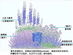 橘凉22采集到植物标图