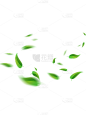 绿色落叶树叶绿叶贴纸
