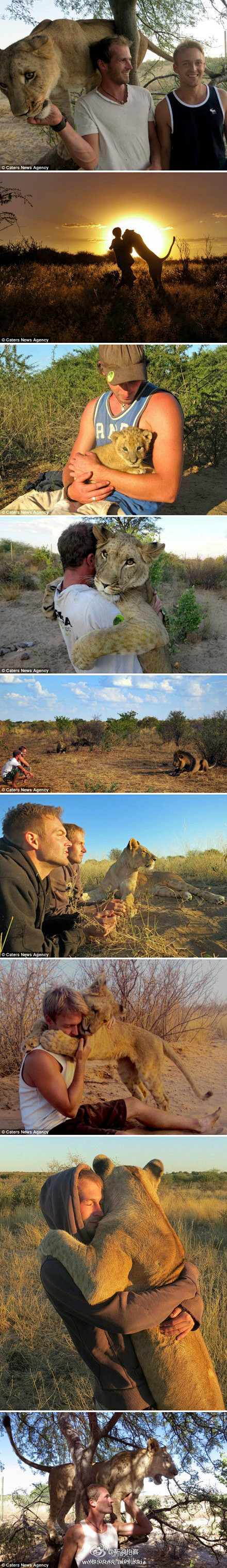 两个男人和一头狮子的故事】在南部非洲的博...