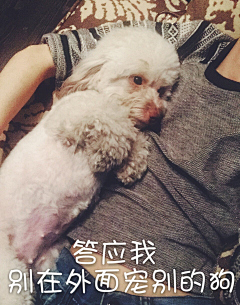 Hali_露娅采集到表情包