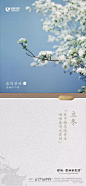 地产广告库