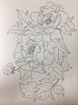 画植物打卡第1⃣️3⃣️3⃣️天 - 小红书