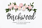 Birchwood Calligraphy Font - Fonts - 1