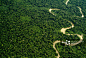 Aerial view of the Yavari Miri River and the Amazon Rainforest, Peru._创意图片 _L lhta采下来_T201959 #率叶插件，让花瓣网更好用_http://ly.jiuxihuan.net/?yqr=11158150#