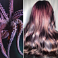 Hairdresser Is Inspired By Nature To Create Colored Hair And The Result Is Incredible