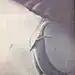 Wakeplay