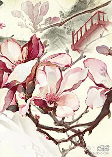 手机壁纸，手机壁纸图片，手机壁纸图，手机壁纸照片 --嘀咕网 - 收集高清唯美图片视频，分享你所爱，结识心朋友
