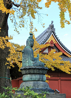 月栖南山采集到世间繁华