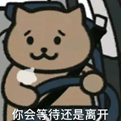 杰伦歌词猫猫表情包表情包无水印​​​
