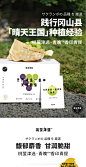 桃萤津选 青魄™香印青提 晴王麝香葡萄 日引阳光玫瑰 双串礼盒装-淘宝网