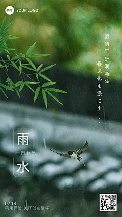雨水金融保险节气祝福问候实景风手机海报