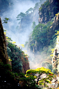 书言绘物采集到素材—风景