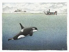 我的水手爸爸会画画 Tom Crestodina 出海图 - 灵感日报 : 孩子三岁时Crestodina再度出海，在海上的那些日子对儿子充满了无尽的思念，于是闲暇时Crestodina开始绘制一张张的出海图，大部分是一些工作场景。为了更清晰的反应工作的内容，许多画面中的船都是以剖面图呈现的，看上去非常有趣。Crestodina也希望借组这些有趣的插图，让儿子了解老爸出海的工作是怎样的……