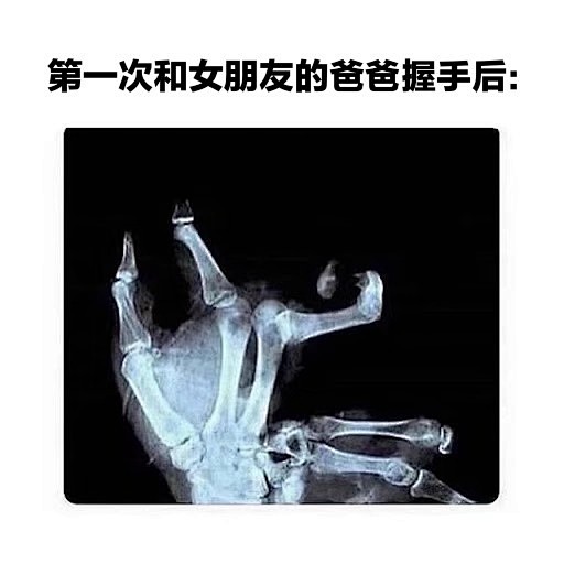 见女朋友家长／爸爸妈妈meme