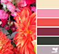 flora hues #色彩#