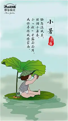 小暑  海报  节气  摩尔农庄