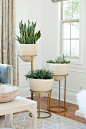 Bring the outside in: 10 Tips for How to Decorate Like a Designer #theeverygirl: 