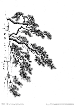 浮生承伊从采集到年画酒素材