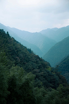 08Qym4x0采集到背景