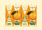 Ridna Marka : Juice packaging series created for Ridna Marka brand consist of four flavors. The idea was to recreate USSR retro style. 