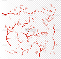 血管-花瓣网|陪你做生活的设计师 | tps://ixintu.com 手绘血管 血液 动脉 静脉 血管分支