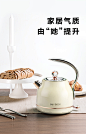 Buydeem/北鼎 K208 进口不锈钢自动断电智能电热水壶礼盒装-tmall.com天猫