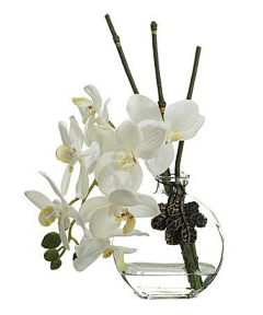 FOTOMOZA采集到植物摄影-花艺