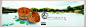 T2eKo6XltXXXXXXXXX_!!1714095506.jpg (1920×600)