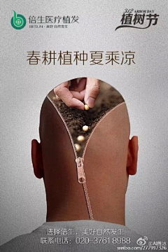 热爱499采集到节气