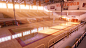 Warthogs Basketball - Highschool Gym (UE4)