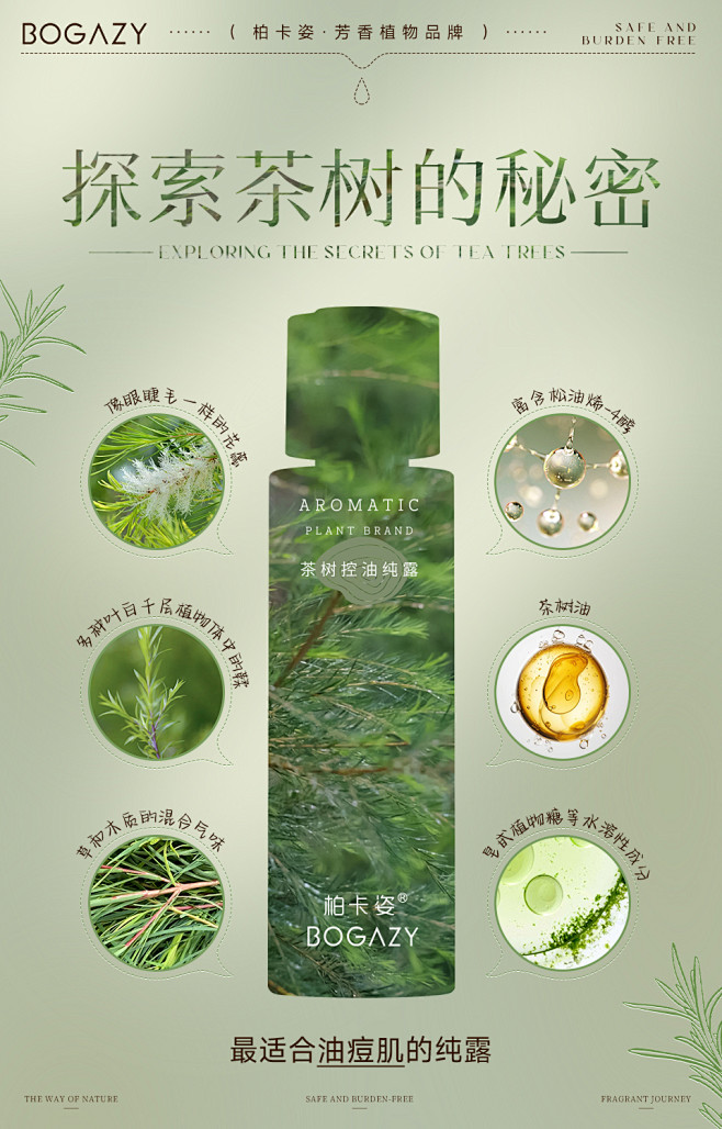 探索茶树秘密