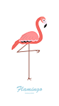 flamingo火烈鸟 - 你有你的世界