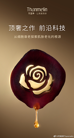 Charming**采集到梵蜜琳