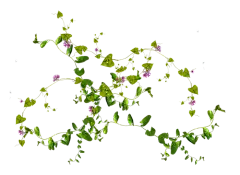Photoshop打造绚丽的春季人像海报_入门与实例_ps联盟