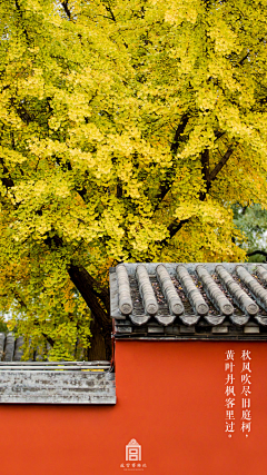 初耳采集到风景