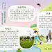 清明节手抄报