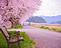 東京カメラ部 Editor's Choice : sakura
*
出先でjpegファイルをいろい倒してどんどん崩壊して行くstyle
*
Location:兵庫県(hyogo/japan)
-------------------------------------
IG community
photographic magazine IG PHOS 
日本から世界に、光り輝きを
*
Follow▶️ @PHOS_JAPAN
Tag#️⃣ #PHOS_JAPAN
---------------------