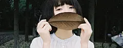 一片树叶的思念桌面壁纸