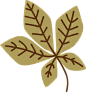 卡通可爱秋季南瓜植物花卉元素剪贴画手账免抠PNG图goodnotes素材 (28)